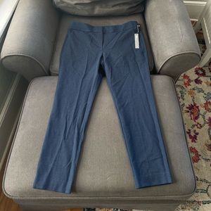 Blue embroidered LOFT size 12P skinny pant with tags on. Never worn before.